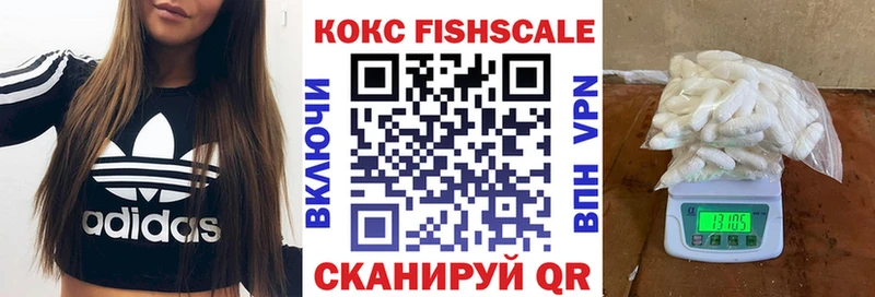 COCAIN FishScale  Купить закладки  Лысьва 