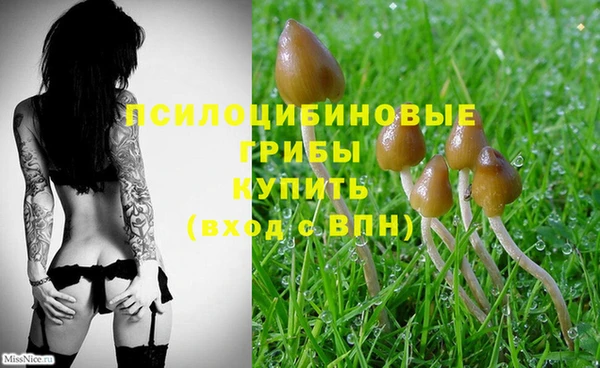 таблы Пенза
